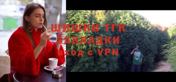 прущие грибы Аркадак