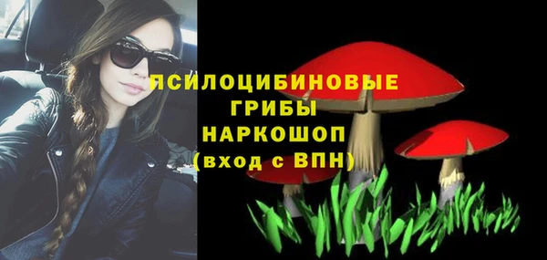 прущие грибы Аркадак