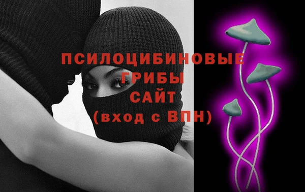 прущие грибы Аркадак