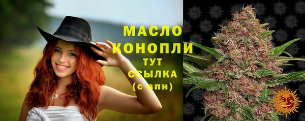 шишки Пестово