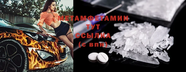прущие грибы Аркадак