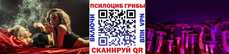 Галлюциногенные грибы Psilocybine cubensis цена Гатчина
